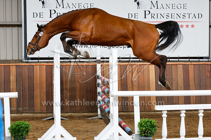 2023-04-01 VWF Delft