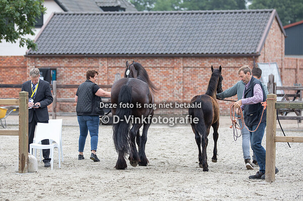 04. Rambo van de Ruigenhil