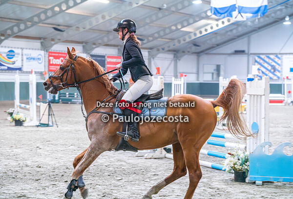 regio nh ponys 80cm C DE