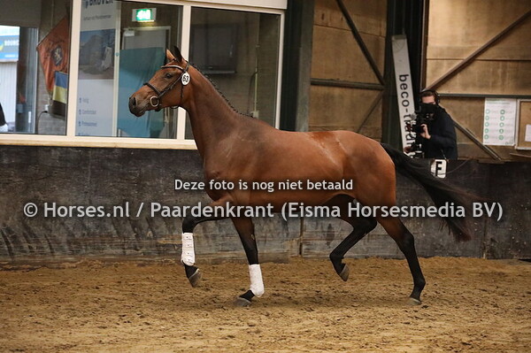 63 Mila-Lena v For Romance