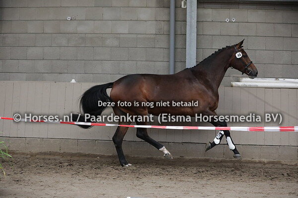 46 Loïs (Forty x Gracie v. Sunny Boy)