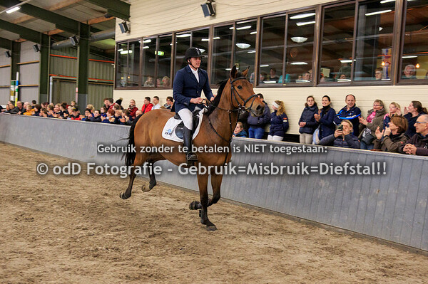 KNHS Regiokampioenschappen springen Limburg (M) 16-02-20