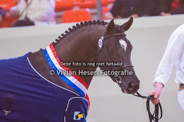 WPBR (Vrijdag en Zaterdag)