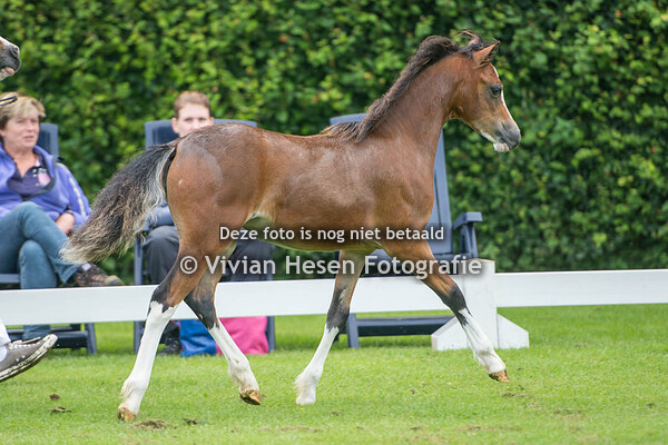 Regionale Keuring Heteren