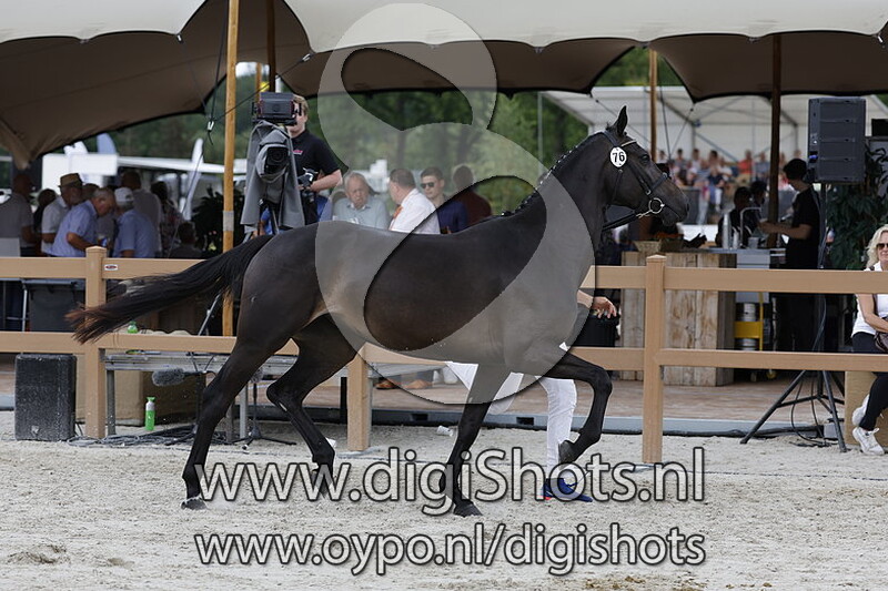 Polinda vd Watermolen v. Opium JW van de Moerhoeve