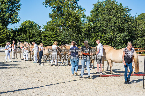 Fjordenkeuring Roden 20-08-2022 - veulens
