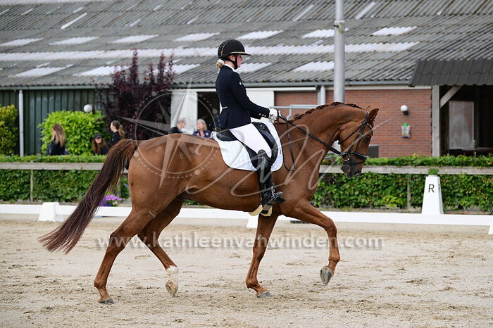 July Verhoef - Mistery H