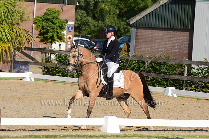 Nienke Anker - Pronkenbergs G. Briljand