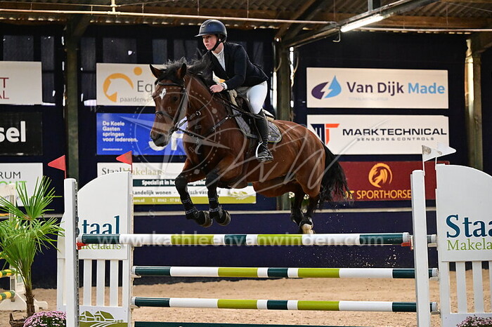 Katie McEntee - Equus Cluny