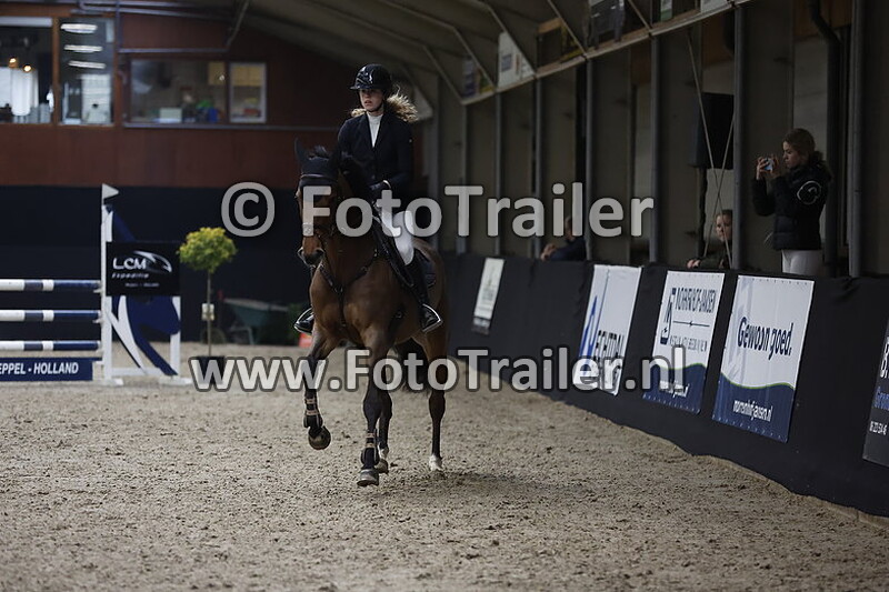 anke marije de vries