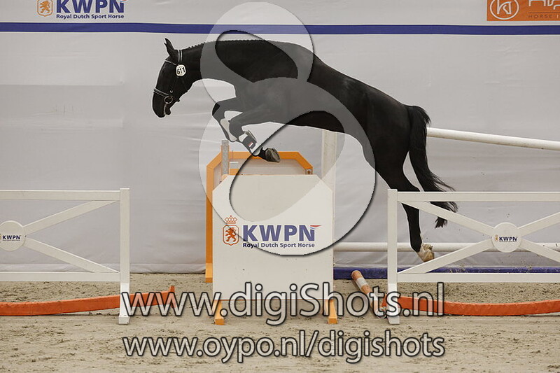 Rebel v. Mandienio - 611