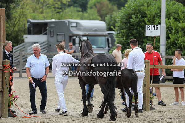 12. Tsjibbe fan de Schmalkuhl