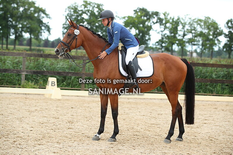 Manege Groenewoude Dressuur 17-08-2025 Ring 2 14.45 - 16.00 uur