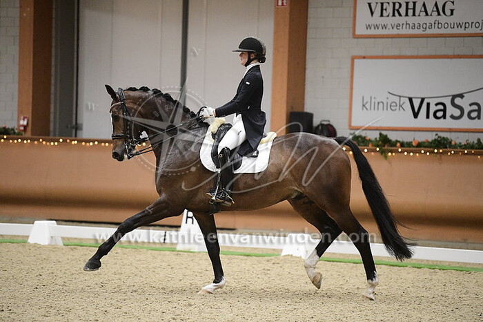 Micky Schelstraete - Knight Rider