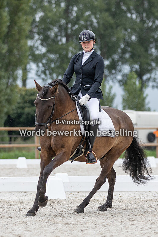 Amber van Zuuren - Cupido