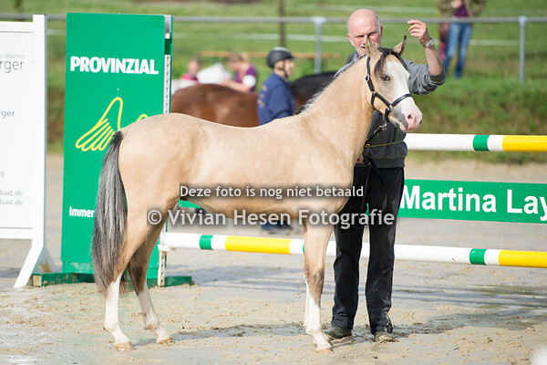 Regionalschau Westfalen