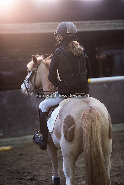 INDOOR LRV Koningshooikt 2015