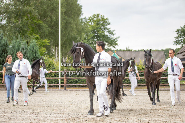 Rubriek 04 twentermerries