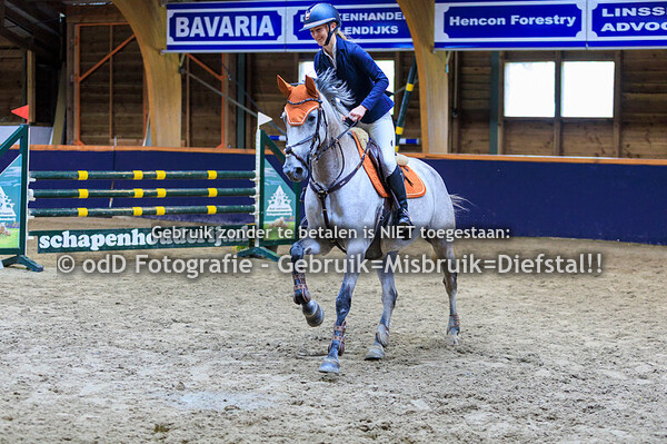 Geldrop Hippique pony 100cde 12-10-25