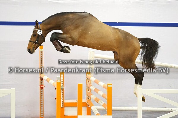 16-12-2025 1e bez KWPN springen