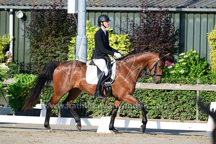 Jantine Vernooij - Nova de Luxe