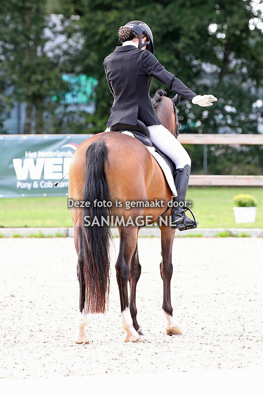 Nationale Welsh Sportdag 23-09-2023 Dressuur Ring 2/3/4 13.00 - 15.15 uur)