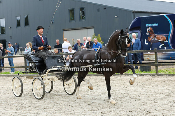 Rielanta H ( Lanto HBC x Sir Arie ) + Alternatieve Ibop