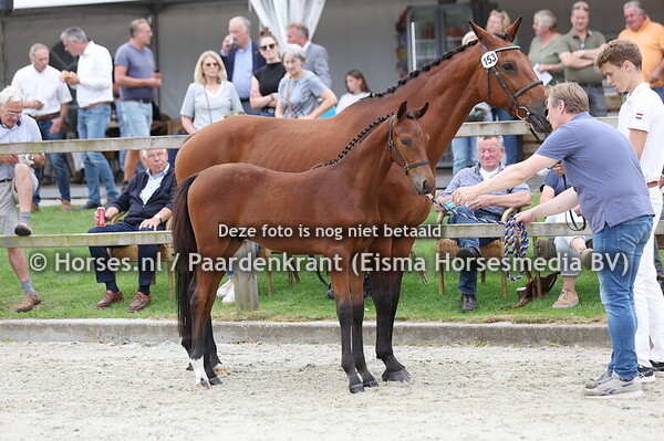 153 Veyron JVR (Secret USB x Hybrona v. United)