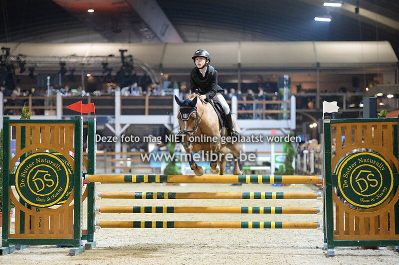 JM18 -DO- Belgische Rijpony 4