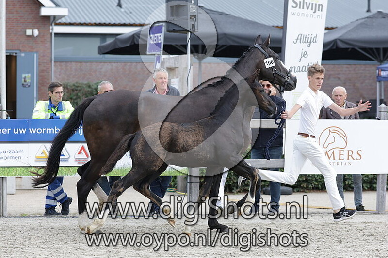 Viva Hollandia H v. Le Formidable