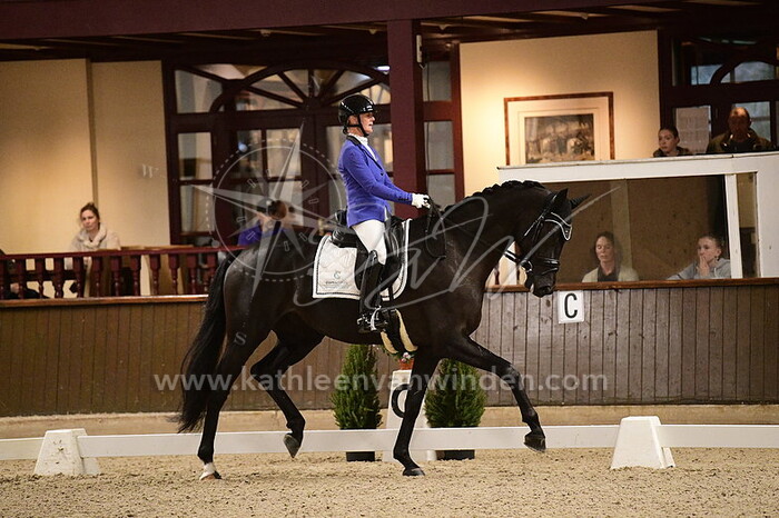 Jose van Haaren - Muck GJ