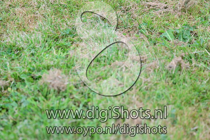 Ring 8 's verenigingskampioenschappen morgens