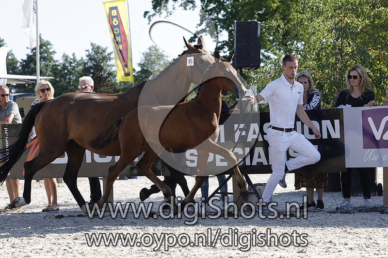 Totally Vegas v. Las Vegas