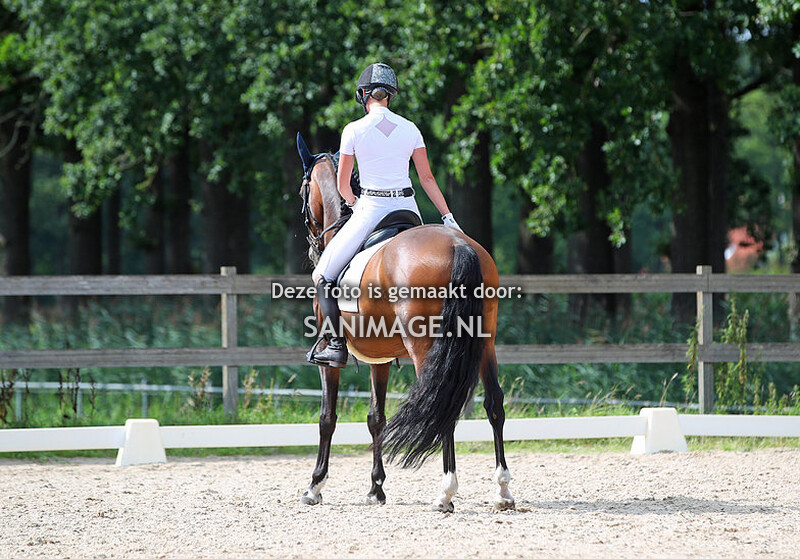 Manege Groenewoude Dressuur 21-08 2022 Middag