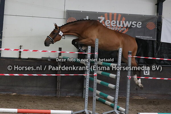 93 Roxana (Comme il Fault x Oxana v. Air Jordan Alpha)