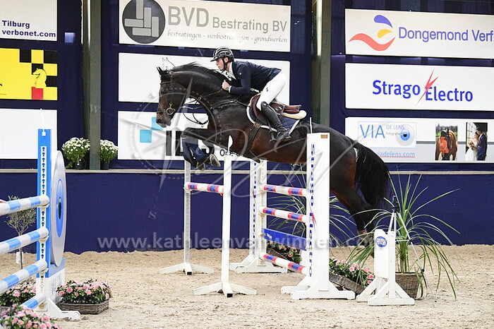 Tom Schellekens - Lexus van de Zietfort