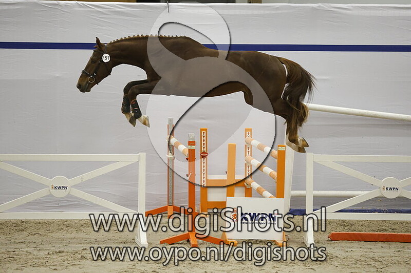 Sapho Touch VK v. United Touch S