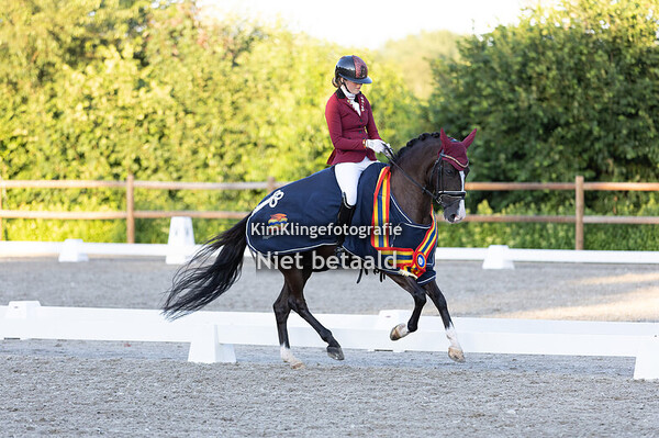 Regiokampioenschappen dressuur pony's