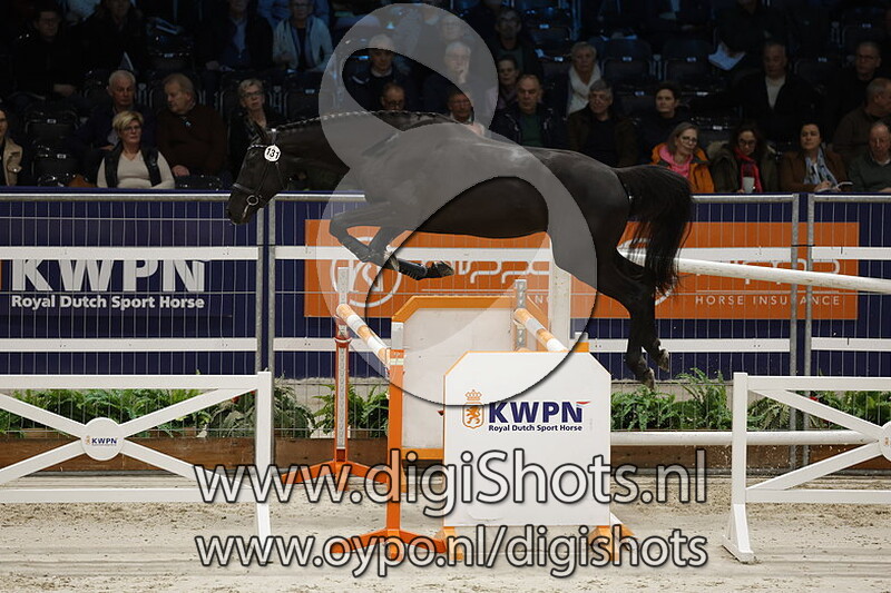 D'aganix Tarania Z v. D'aganix Z - 131