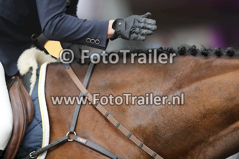 Mareille van Geel-Schroder