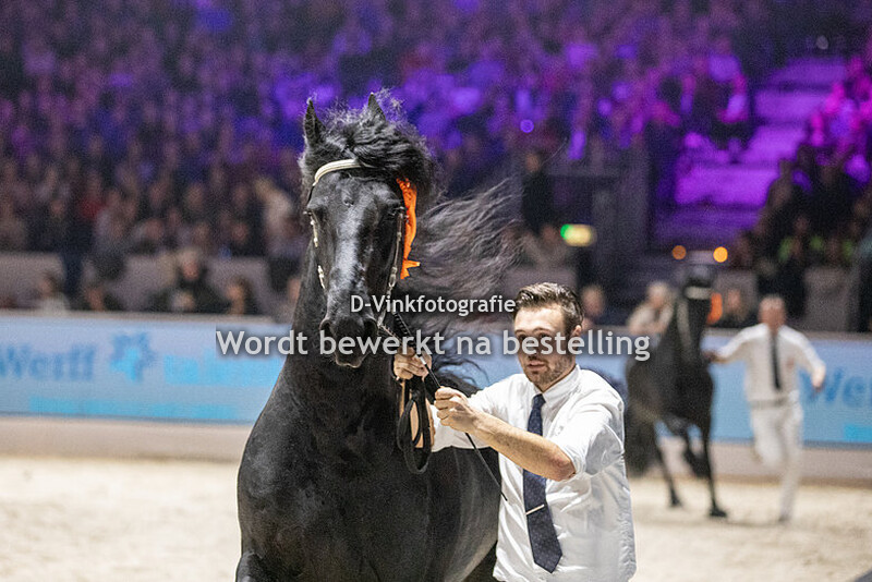 Rubriek 6 hengsten dekseizoen 2023