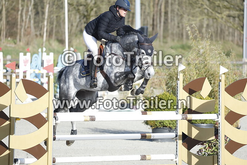 mareille van geel schroder