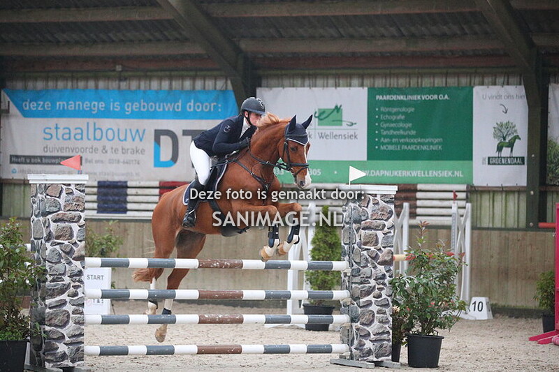 Stal Groenendaal Springen Paarden 10-11-2024 110 cm