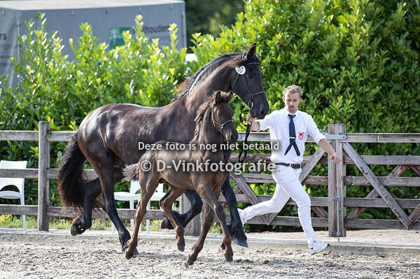 50. Sjef van de Hoeksche Hoeve