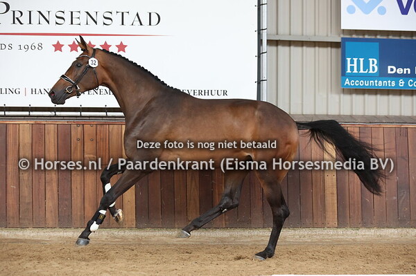 32 Symfonia Frieschwijkm(Furst Dior x Elanda v. Tuschinski)