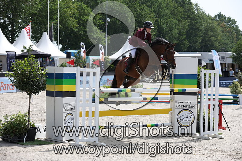 Havanne van de Noordheuvel