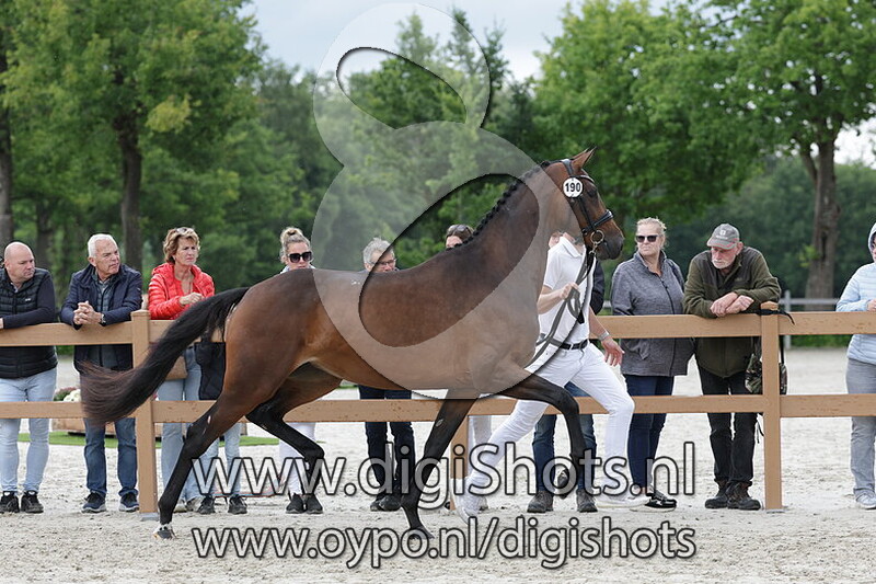 Seniz Texel v. McLaren