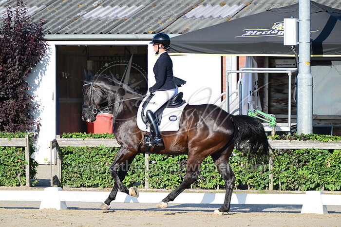 Annet Borgstijn - Orakel