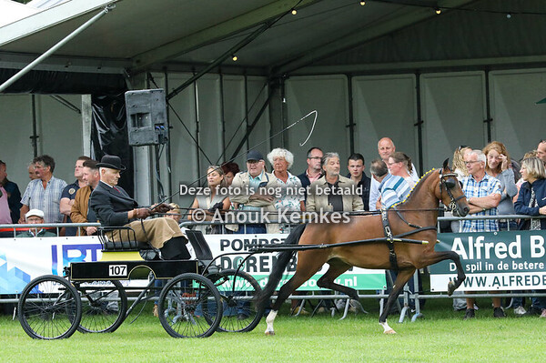 Hackney kleine  Limiet