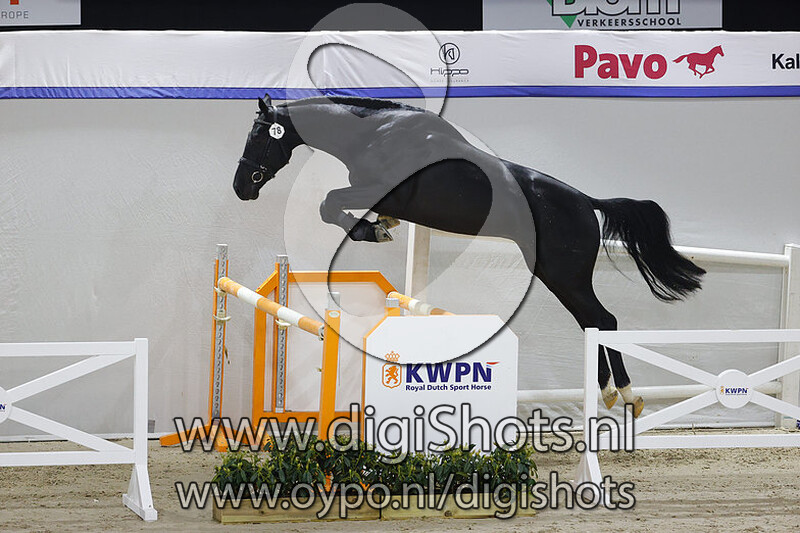 Normann v. El Salvador